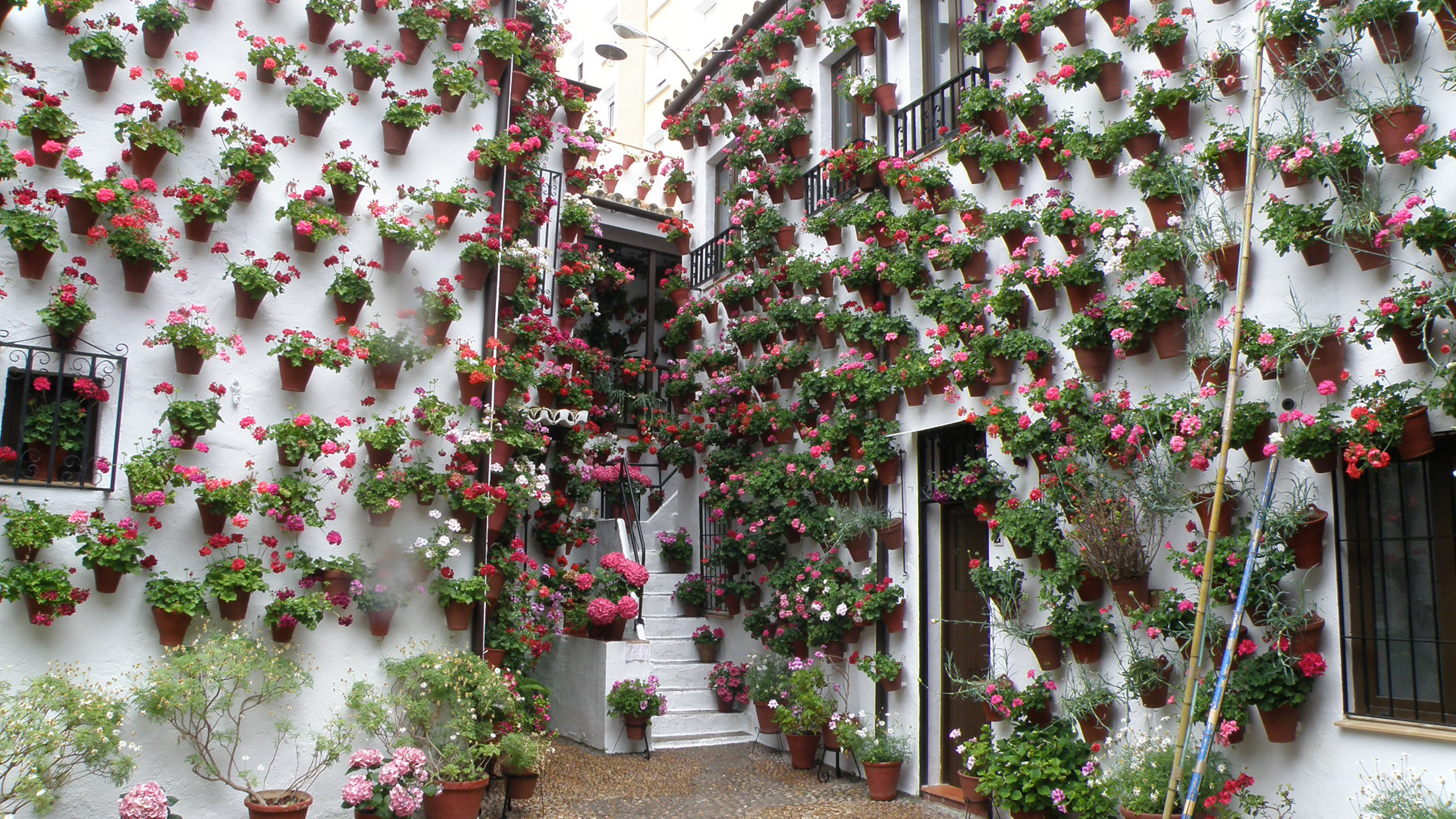 Patios de Córdoba